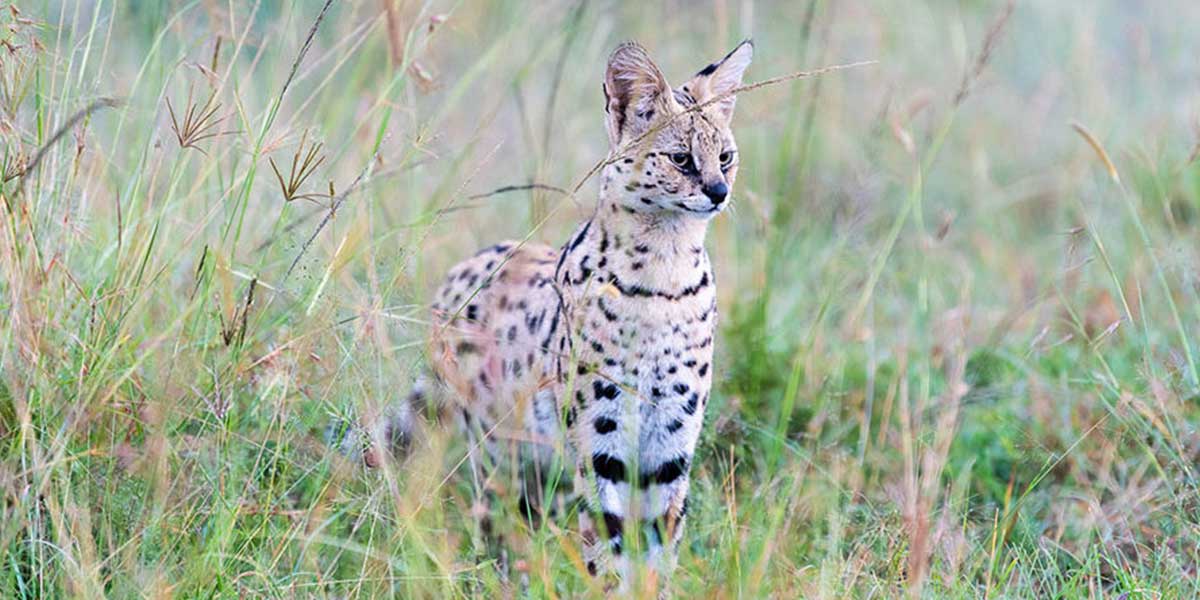 Second slide