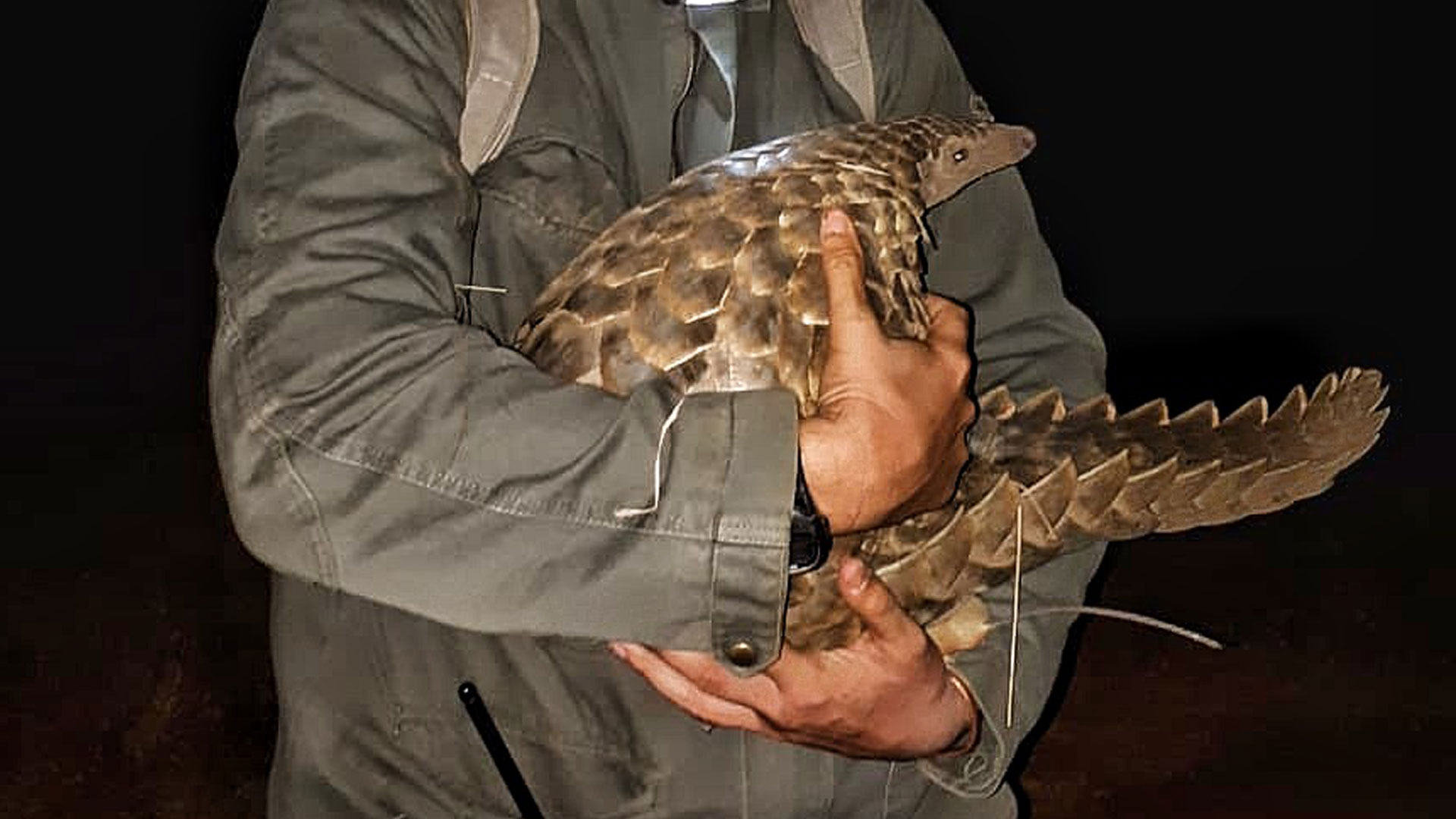 Second slide